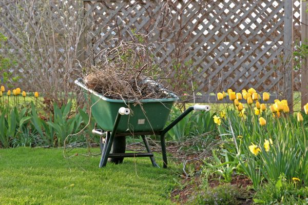 Flower Bed Cleanup Service in West Des Moines
