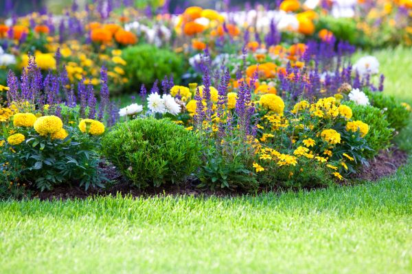 Flower Bed Maintenance in West Des Moines