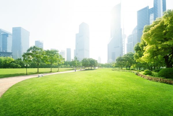 Commercial Landscape Maintenance in West Des Moines