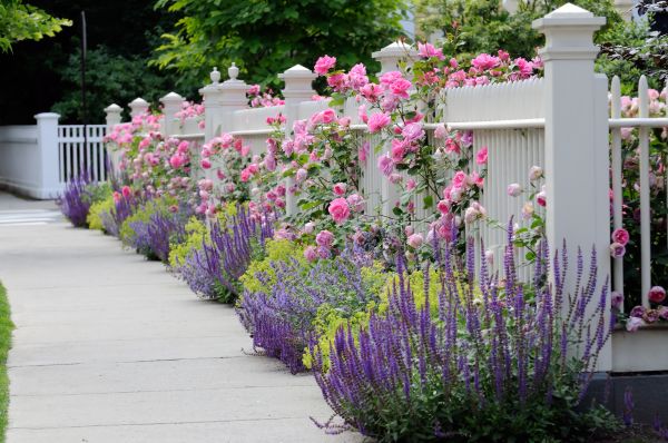 Garden Handyman Service in West Des Moines