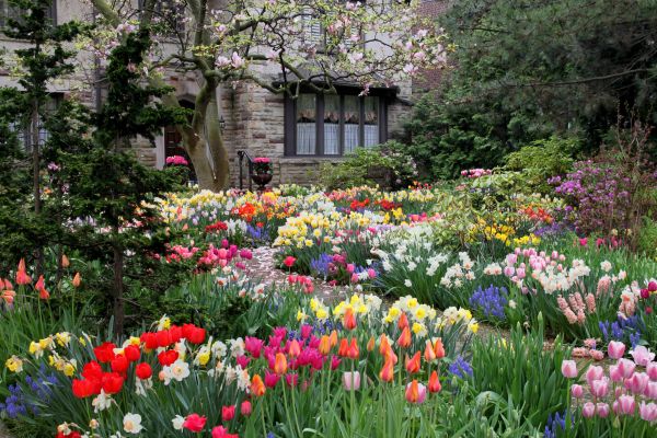 Garden Maintenance Service in West Des Moines
