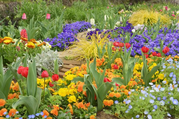 Garden Renovation in West Des Moines