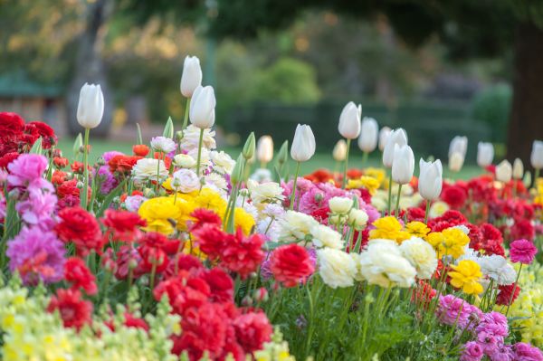 Gardening Service in West Des Moines