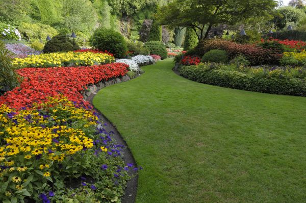 Landscaping Maintenance in West Des Moines