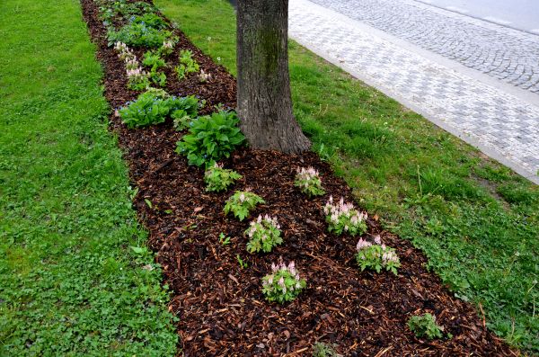 Mulch Replacement Service in West Des Moines