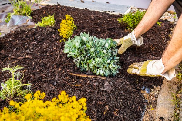 Weeding And Mulching in West Des Moines