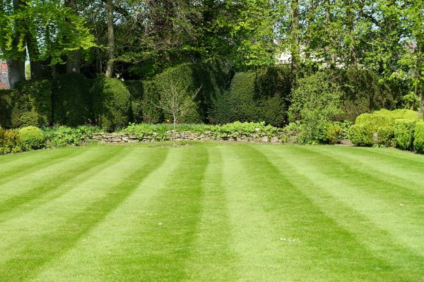 Lawn Renovation in West Des Moines