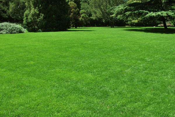 Lawn Landscaping in West Des Moines
