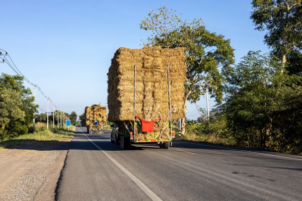 Pine Straw Delivery in West Des Moines