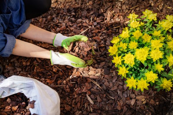 Garden Mulching in West Des Moines