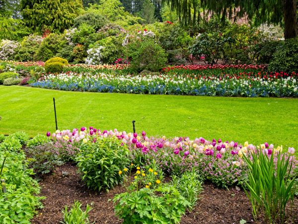 Residential Landscape Design in West Des Moines