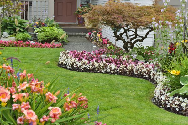 Perennial Landscaping in West Des Moines