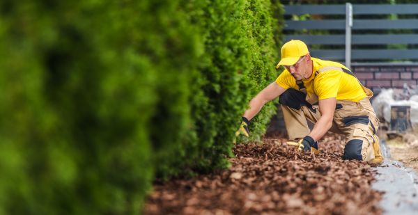 Cypress Mulch Installation in West Des Moines