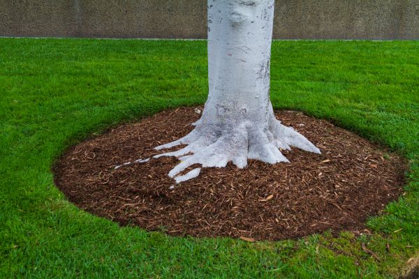 Brown Mulch Installation in West Des Moines