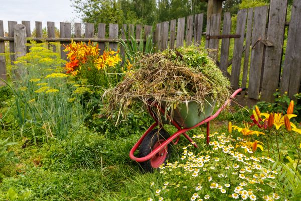 Garden Cleanup Service in West Des Moines