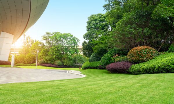 Business Landscape Design in West Des Moines