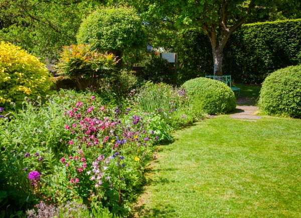 Yard Landscaping Service in West Des Moines