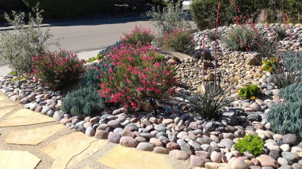 Xeriscape Landscaping in West Des Moines