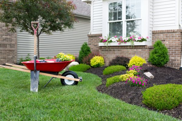 Tree And Shrub Planting in West Des Moines