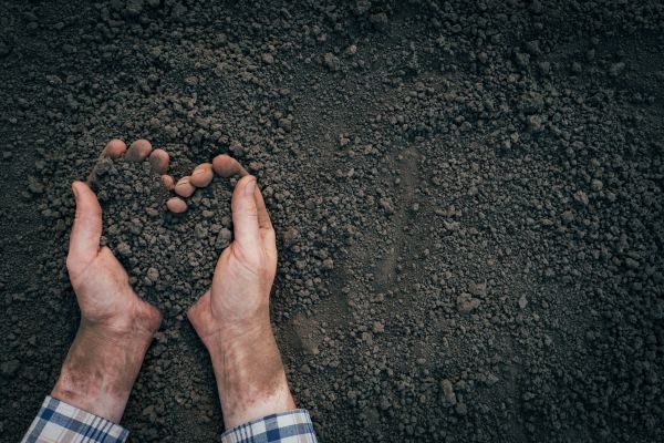 Soil Installation in West Des Moines