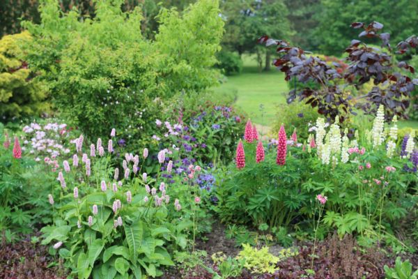 Flower Bed Planting in West Des Moines