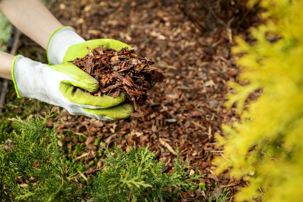 Garden Mulch Delivery in West Des Moines