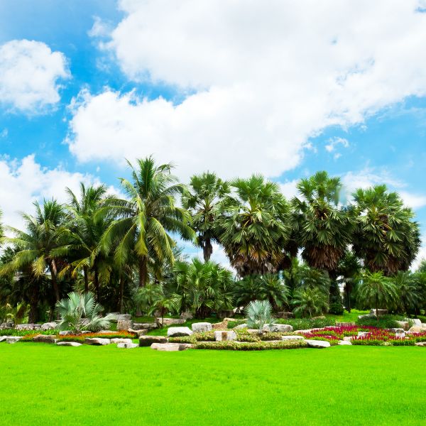 Tropical Landscaping in West Des Moines