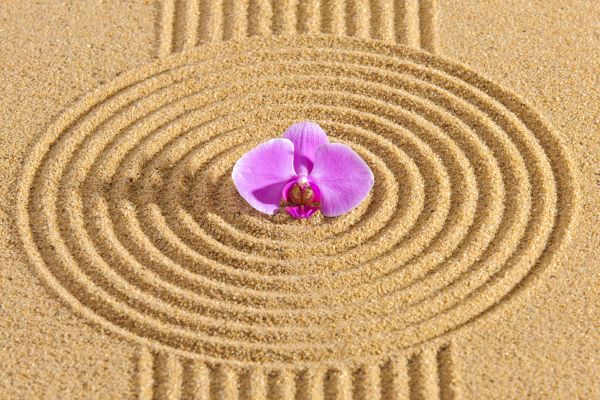 Sand Garden Landscaping in West Des Moines