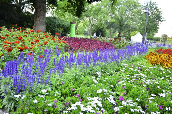 Perennials Planting in West Des Moines