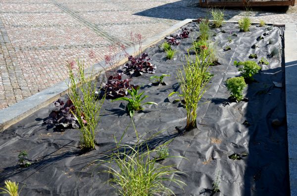 Landscape Fabric Installation in West Des Moines