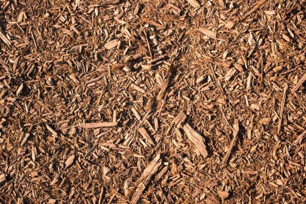 Wood Chips Removal in West Des Moines