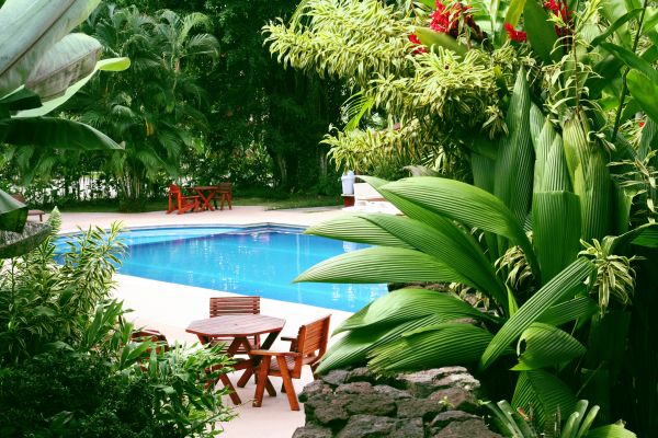 Pool Area Landscaping in West Des Moines