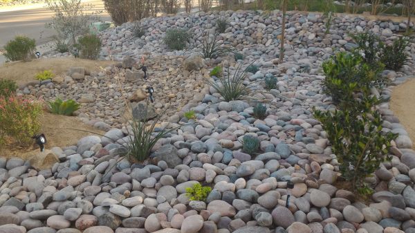 Yard Xeriscaping in West Des Moines