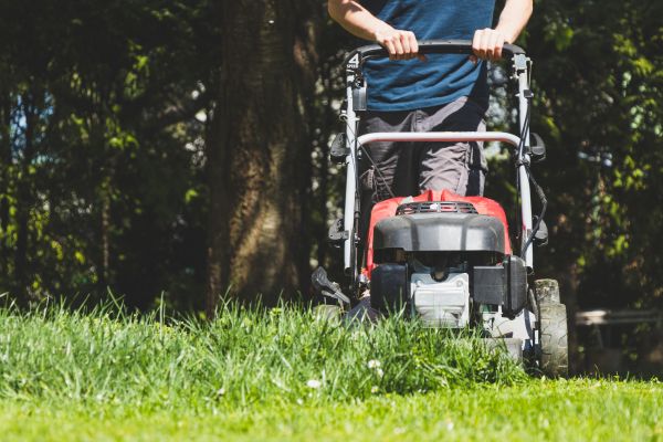 Garden Trimming Service in West Des Moines