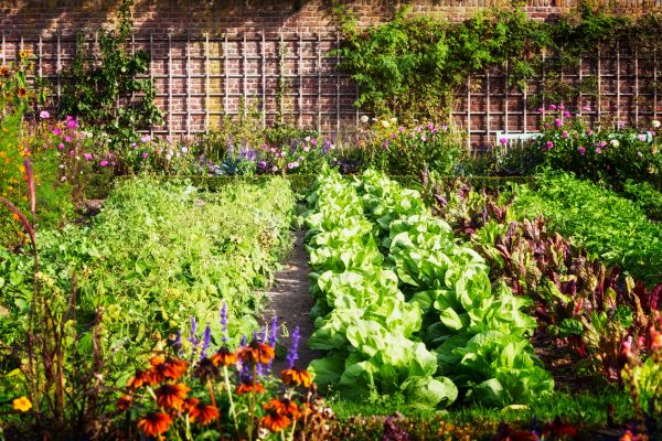 Garden Planting Service in West Des Moines