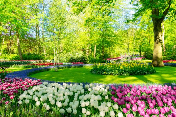 Flower Landscaping in West Des Moines
