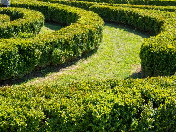 Bush Landscaping in West Des Moines