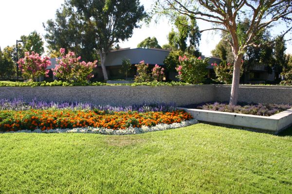 Commercial Landscape Service in West Des Moines