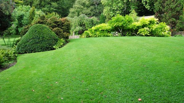 Commercial Landscape Design in West Des Moines