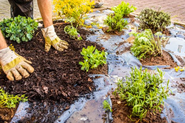 Mulch Fabric Installation in West Des Moines