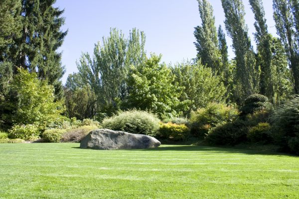 Yard Enlargement in West Des Moines
