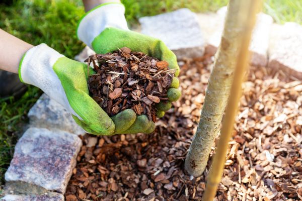 Tree Bark Delivery in West Des Moines