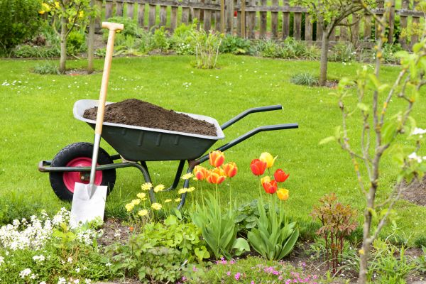 Spring Yard Renovation in West Des Moines