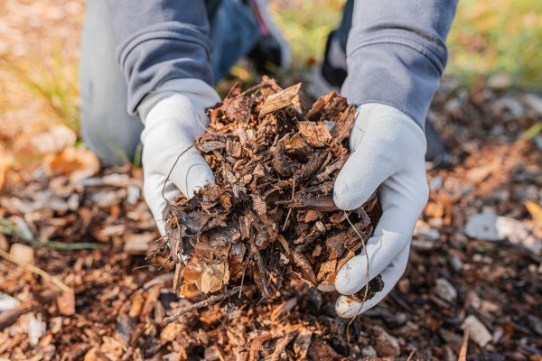 Shredded Mulch Installation in West Des Moines