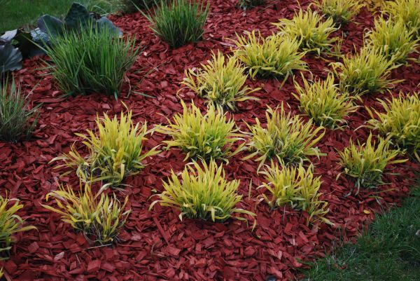 Red Mulch Installation in West Des Moines
