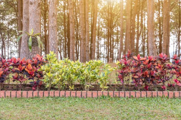 Small Garden Landscaping in West Des Moines