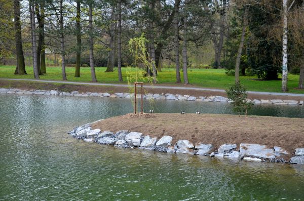 Pond Landscaping Service in West Des Moines