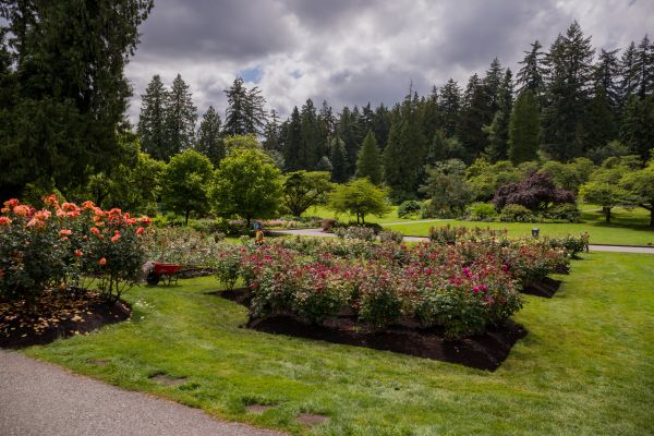 Flower Garden Landscaping in West Des Moines