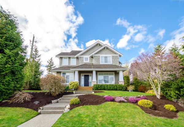 Landscaping Replacement in West Des Moines