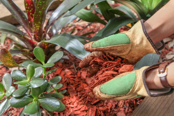 Residential Mulching in West Des Moines